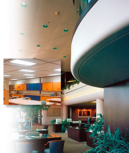 acoustical ceilings